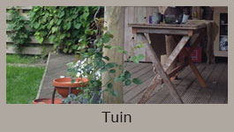 Tuin