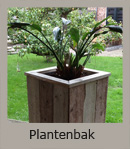 Plantenbak